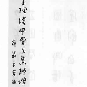 会员头像