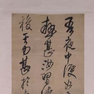 会员头像