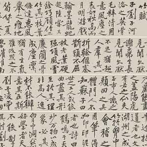 靳涵萱的头像