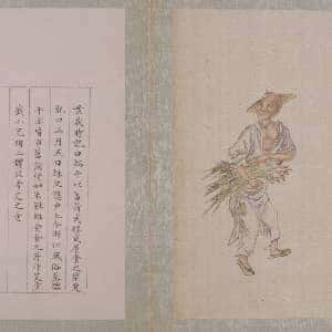 冯函语的头像