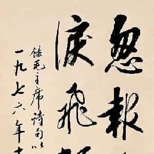 会员头像