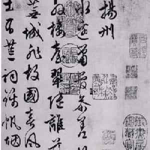 会员头像