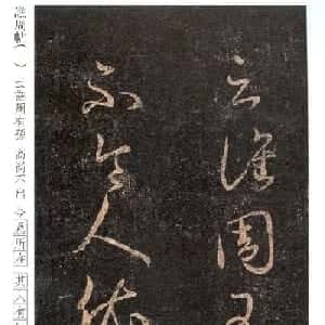 会员头像