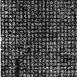 会员头像