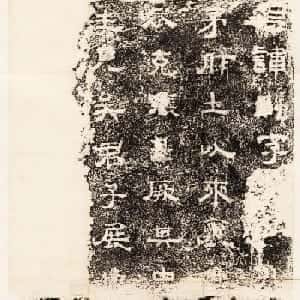 vip029894的头像