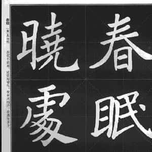 会员头像
