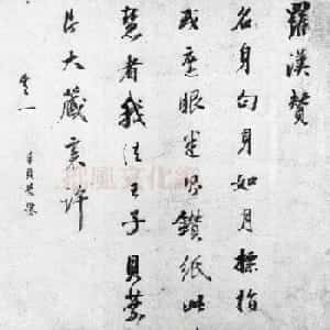 白越轩的头像