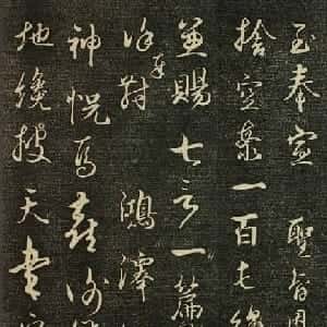 会员头像