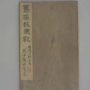 会员头像