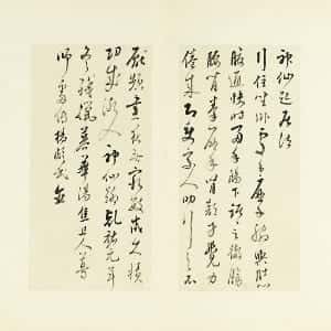 ville的头像