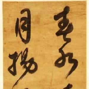 高梦蝶的头像