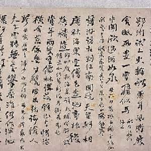 陶歆禾的头像