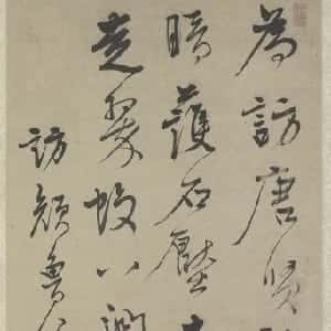 会员头像