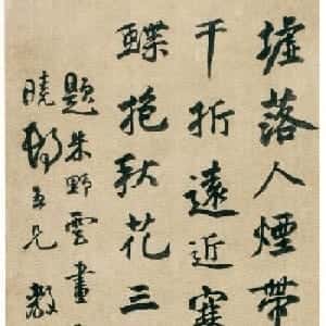 会员头像
