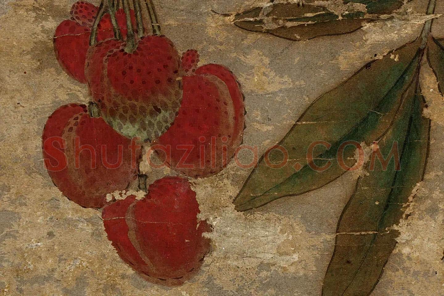 宋徽宗赵佶双钩画《荔枝图》高清大图局部 (3)