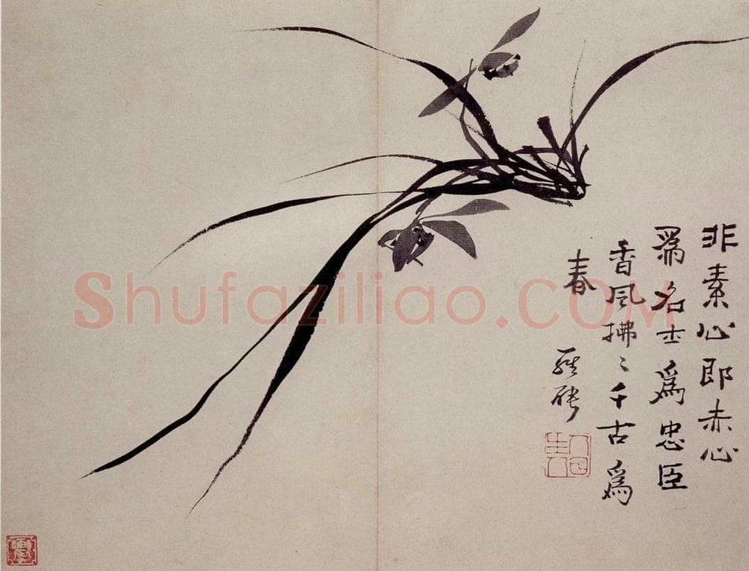 清 罗聘 《兰花册》 书画作品