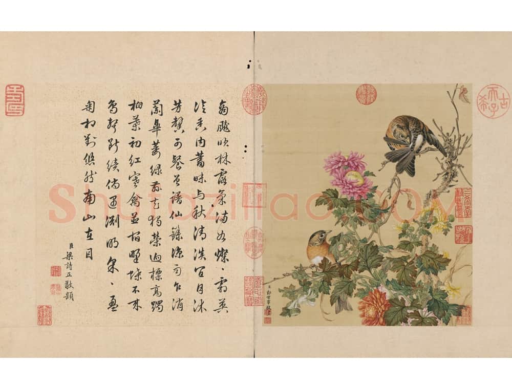 郎世宁花鸟图册 | 故宫绘画藏品
