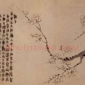 1760年 金农《杂画册》国画花鸟写意作品图片赏析