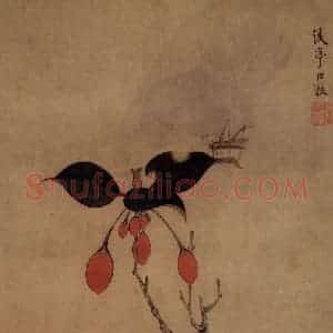 1633年 陈洪绶《花鸟图册》国画花鸟工笔作品图片赏析