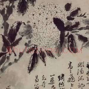 清代 石涛《花卉册》国画花鸟写意作品图片赏析