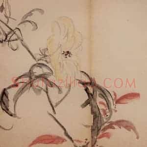清代 李鳝《花卉册》国画花鸟作品图片赏析