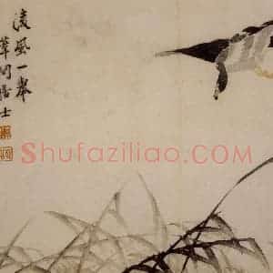 1749年 边寿民《芦雁册》国画花鸟写意作品图片赏析