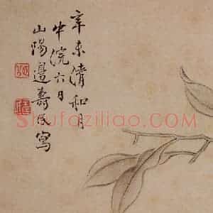 1751年 边寿民《杂画册》国画花鸟写意作品图片赏析