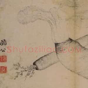 1728年 边寿民《蔬果册》国画花鸟写意作品图片赏析