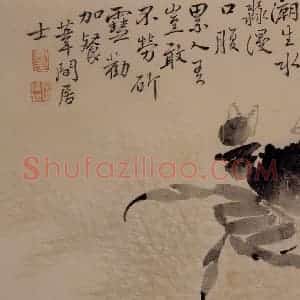1732年 边寿民《杂画册》国画花鸟写意作品图片赏析