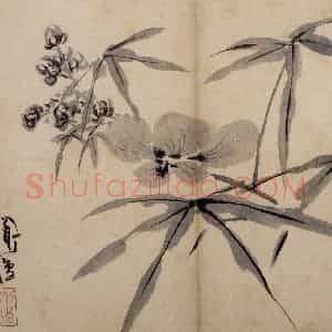 明代 陈淳《花卉册》国画花鸟作品图片赏析