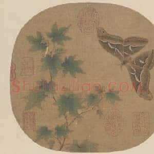 青枫巨蝶图页