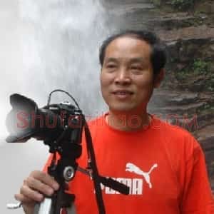 杨剑