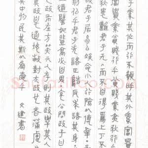 陈文建 硬笔隶书作品《中庸节录》图片欣赏