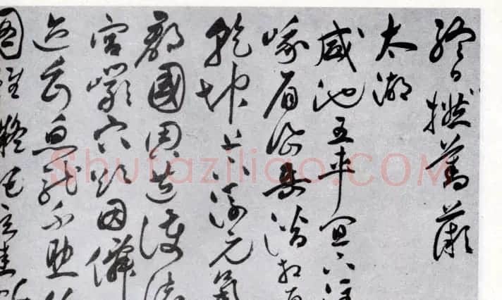 祝允明草书欣赏《闲居秋日诗卷》 | 名家书法作品精选