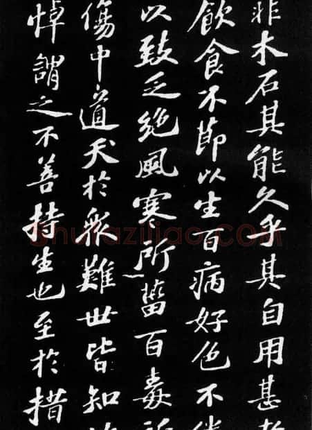 苏轼小楷欣赏《养生论》拓本 | 软笔书法作品