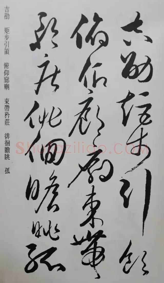 罕见的怀素草书《千字文》净云枝藏帖 | 软笔草书字帖