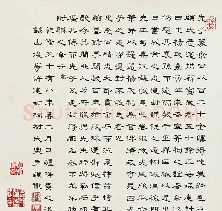 明代杨继盛手翰《寿徐文贞遗稿》 | 书法长卷