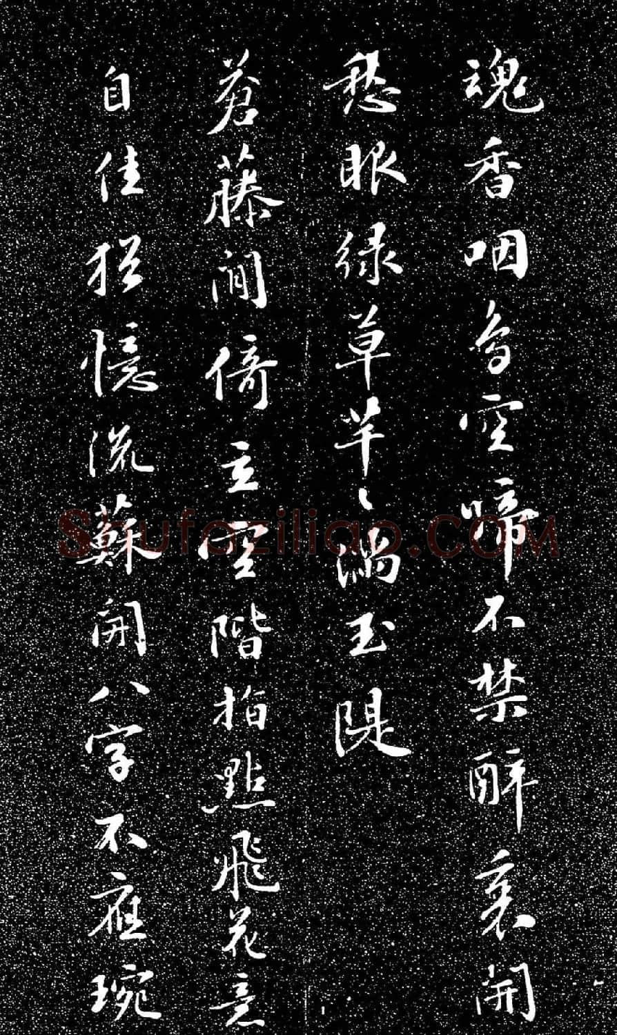 苏东坡49岁书落花诗（日本藏） | 软笔书法作品