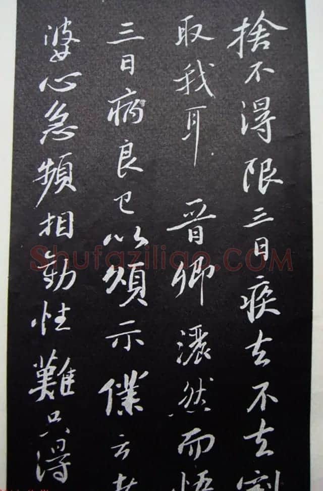苏轼行书题跋《跋王晋卿藏挑耳图帖》 | 软笔书法作品