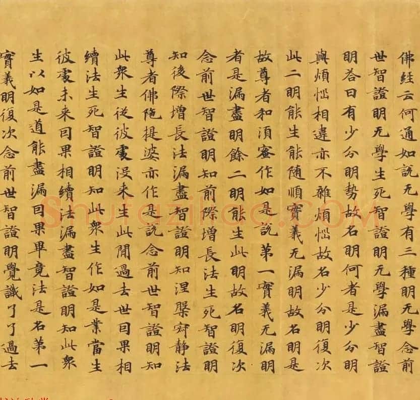 唐代写经赏析《阿毘昙毘婆沙论卷第五十二》法国国家图书馆藏 | 敦煌写经精选