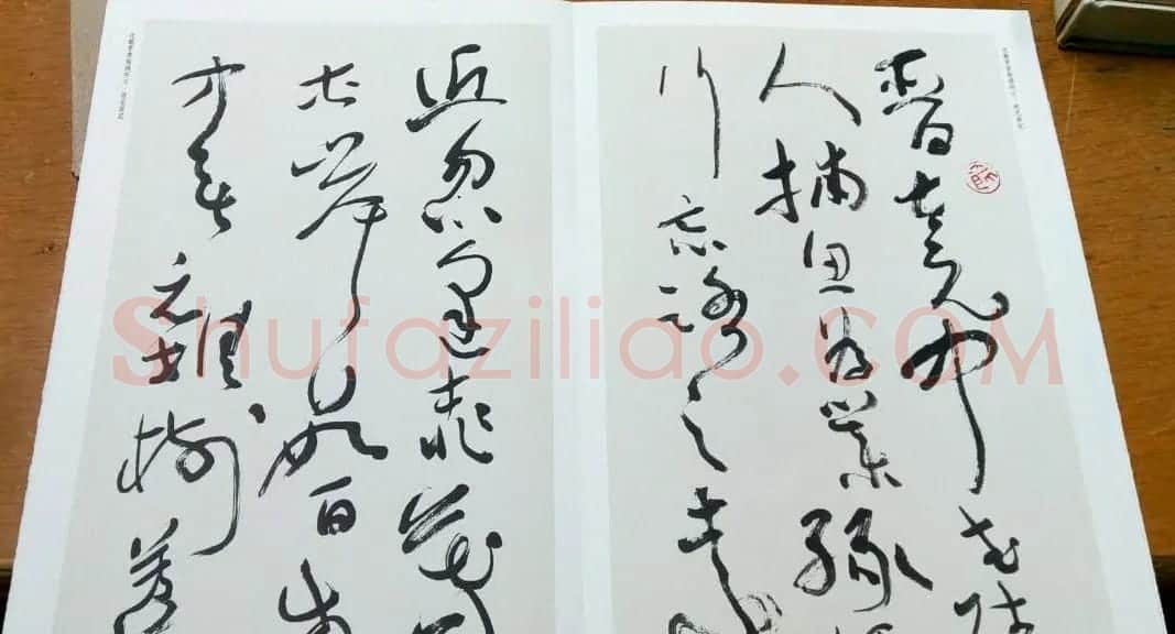 沈鹏草书欣赏《桃花源记》 | 书法作品赏析