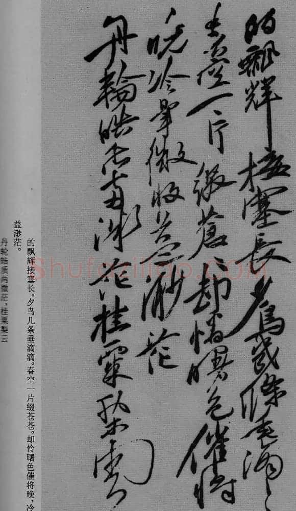 徐渭草书作品《月下梨花》 | 名家书法作品精选