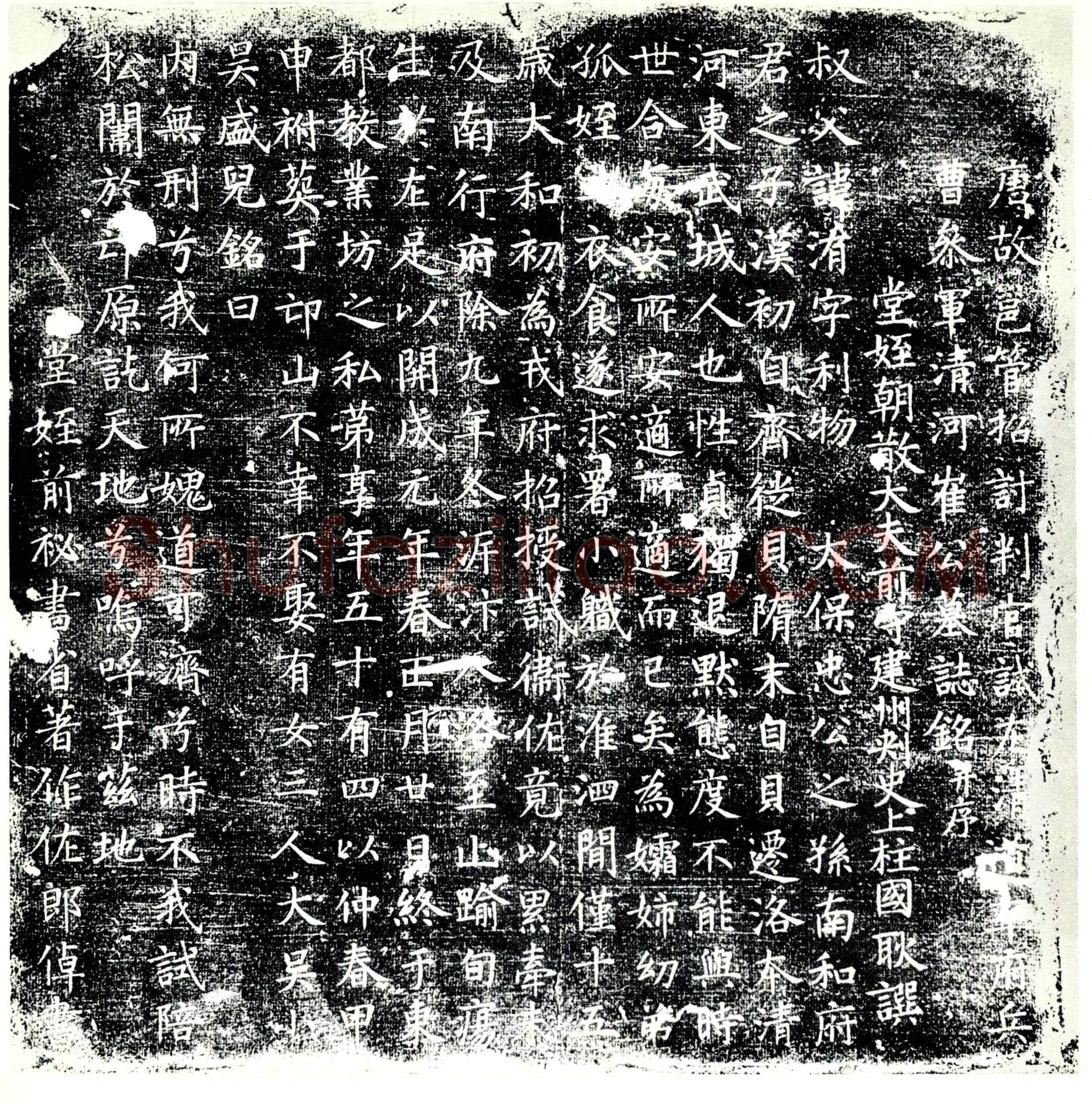 唐 崔洧 墓誌