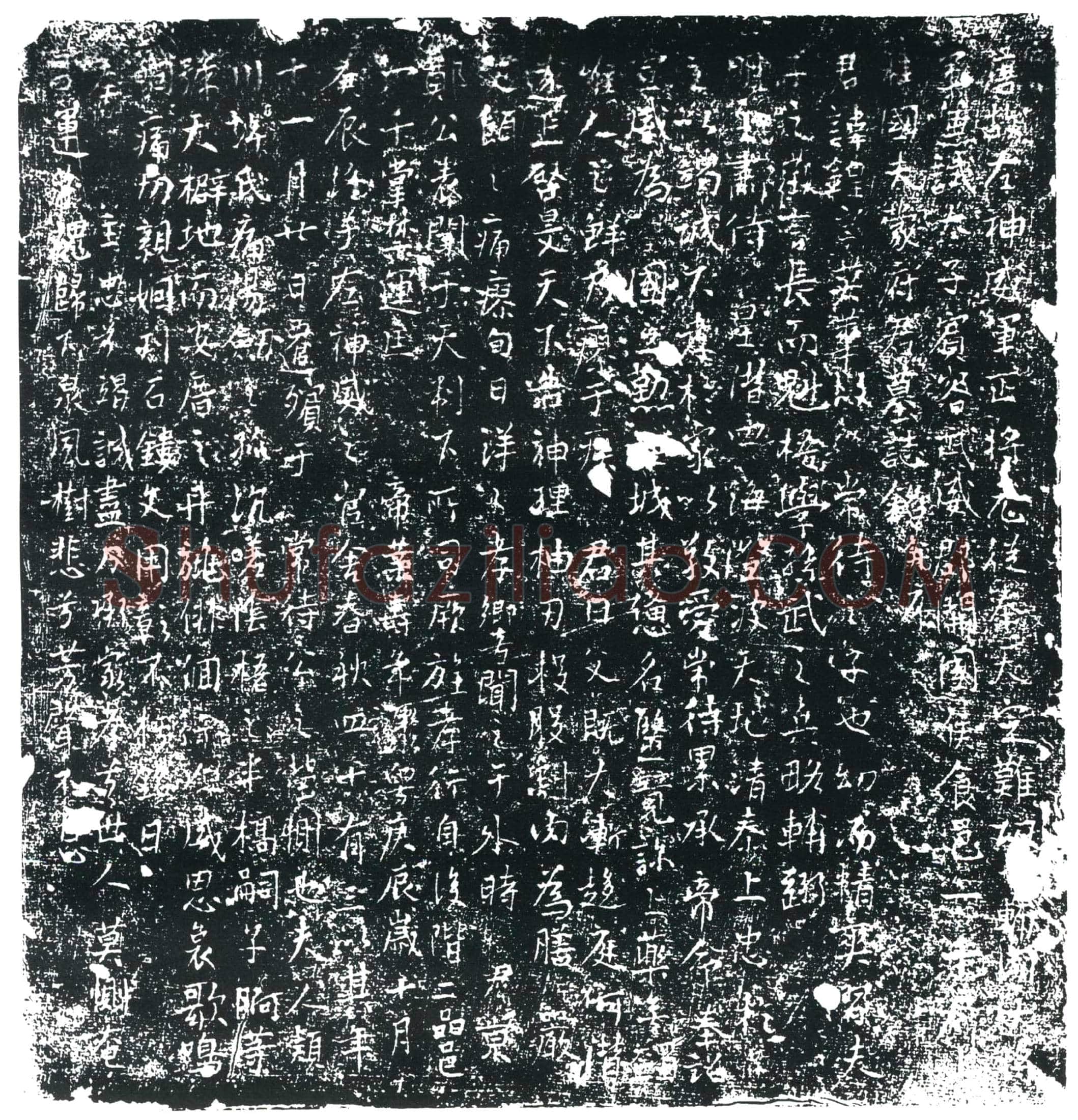 唐 蒙锽 墓誌