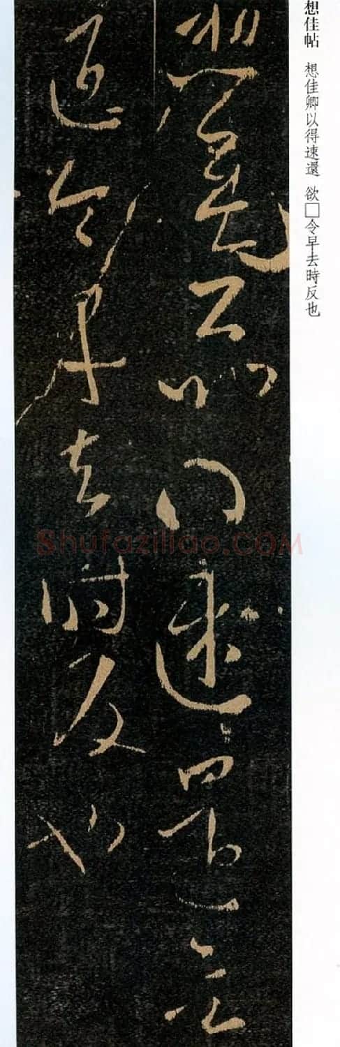 王羲之草书《想佳帖》两种版本 | 名家书法作品精选