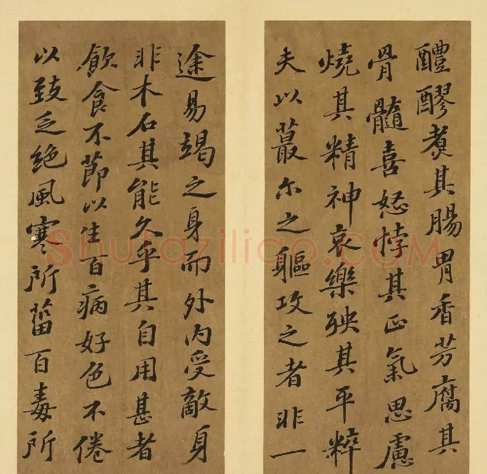 苏轼行书养生论真迹册 | 软笔书法作品