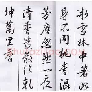 王羲之行书集字七言古诗21首