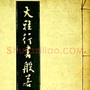 池无名书法《大雅行书般若心经》