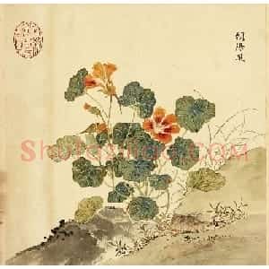字画册页《海西杂卉》余省绘画+于敏中书法