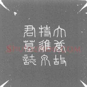唐代 楷书墓志拓片《大唐故特进行右卫大将军兼检校右羽林军仗内供奉上柱国卞国公...》高清图片欣赏